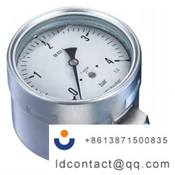 MEX5-D31.B22_Bourdon stainless stee